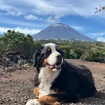 Casinha Kevin São Roque do Pico