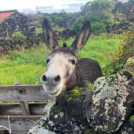 Casinha Kevin Сан-Роки-ду-Пику