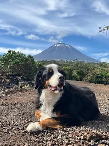 Casinha Kevin São Roque do Pico